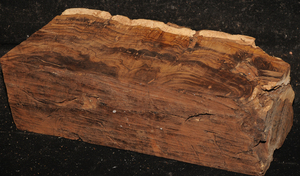 0d5e9bf07e599d2899b737734096c253565cd9586fc1dcd39a6f7de804a5