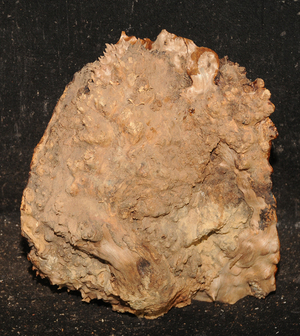 1b7836fea4129911b0bf189b76c90328e7b4d0f06196dafc808ad704feb0