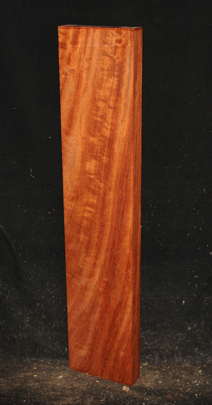 1c04340e53c93664cc144ddf425a4189735a322a8b6f9d921a7b206d8812