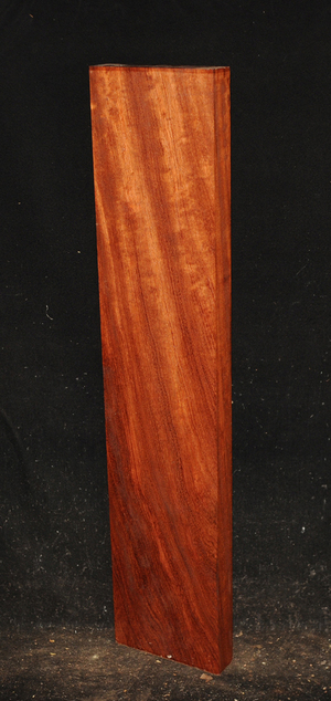 23923bad43f26c06bc54bac89b4155cc901afcd22fd1be7d8b51670688dd