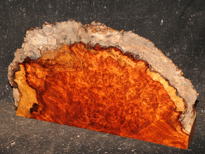 24a50a30d6427999673cda1930050ae8322520a289249e6425adadee48c8