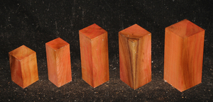 27d0cdca2b3ac58692786aefc1f0656ccf351d028969503d4df0c90cbfe7