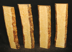 2c844c1ef3b853691d67be84fd71022c22bcaabd06d71ac0438f12cb39c2