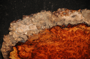 427fa74fa5eb833e10115d9e2f6a13a9648177e9fc4b9e278a793afd8474