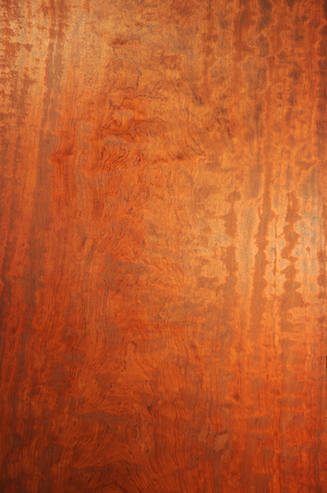 473f5220e9b7a39cc234ccbca9256a2a0a8b2c4f67c18477941581bfc42f