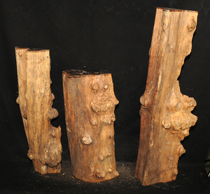 479cf765876d51b2e23792d3265911fe2e2baf7757d0997744a571cb9888