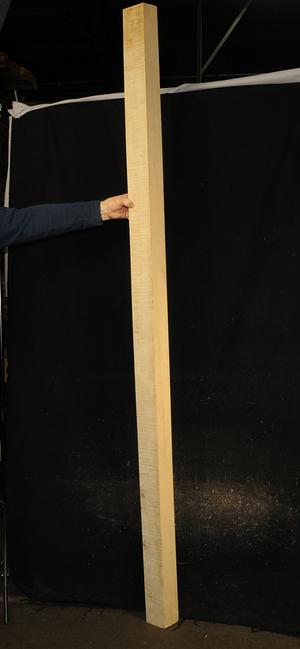 55633cd067b1cee57586d0da80d3f24aba6f6e13e534ded5f73349477337