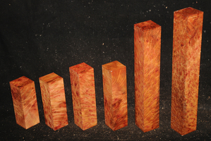 5bc93379c384e3226de3195be12d6d1babe95a30d8a29cf41ec6f9e79089