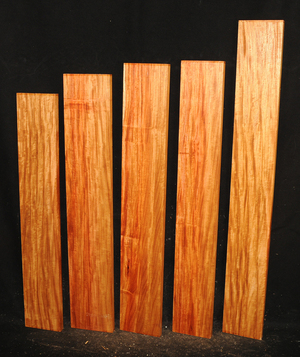 6f8fa1000b67ac5ebc377d7cd80645bf0375574592d3293aff3572af7ccc