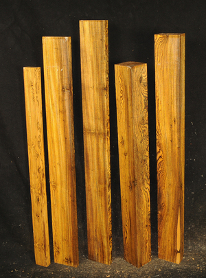 77261bb65910bb81b1b7b2190df60bc92e5494fc24c100759a873ac8c256