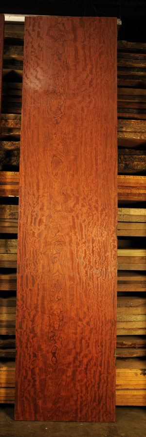 838eb60e4b130af8a06816139c0105efa9a82d9587afa0422bbbd97cf73b