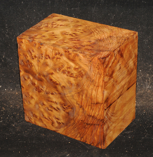 8ea09bf3374d094f30465fc45ec1a21f01fc35c18fc10c6e23b3db7c8b57