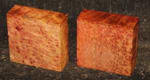 8ff96e8113f92c88fd3b2054d43570f839670214077e61ddb1c9776e95a9