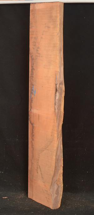 99a814e460663bfbd9b8e333abe073e739ac8f831b41e991df9817fe4940