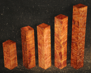 9e56105a51fd3b1dd7c46f94ee88d234dc23175cd02e7b793bc00703dad2