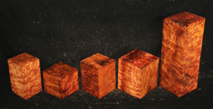 A03fd02fb5fdb515f17cf25a2a3f41bb863ed726094c5f91c958713f63f9