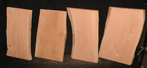 A0ddf776b72746cca86e1d4c85049bb98d674704770f96914069ac2b9b57