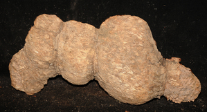 A3be61969aa41ebad5297433a4c9a6cd3642df293c9979d79bd906ff97d0