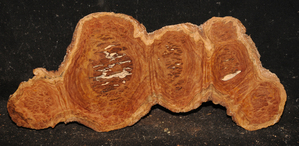 Ada23ecc9bb7508a58a11a142c93da5658b25cc050c2ae58961b27976e70