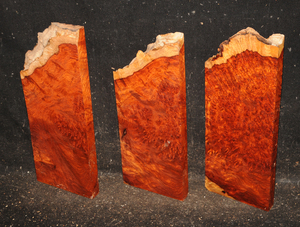 Af4e9ade01817f191efaab50db338971e771debbe0b73311ec4c7c9bdd2a