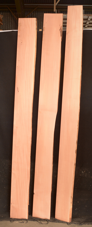 B0aa7e3ec3a21af0624788798071db77717a39640d8f97eeced3ebaf97cc