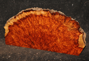 B859cdb225e375d28aec356aff2a05aad21a6e61da34edeab6e76841717e