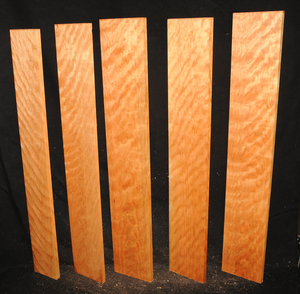 Bf4598e1945856c97e377f2402fb8cf7d40b063f5c2916e22a213e669f87