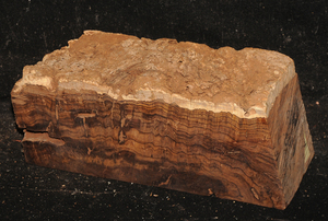 C3386b3a9306760a5dd4d01a02485bad7b90c9b22f455451a95393ee9386