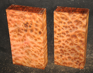 D2bc00ce1feaa5622b671ab13a828fc7adbdc262c49ccfddcc12e2df2638