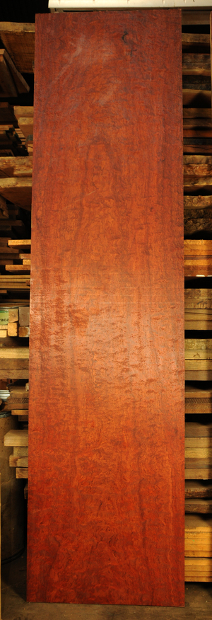 D98734a010675a9521016e19329f84e6f80f28d1c9a6d258d6ea12e72e3e