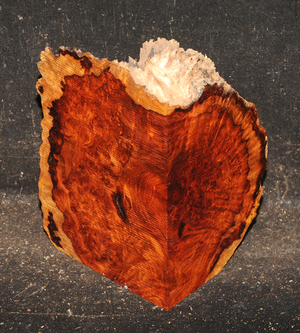 E08ccf215042d626599cedd566a69f40aabe2e4c370d55439b4e26be09f9