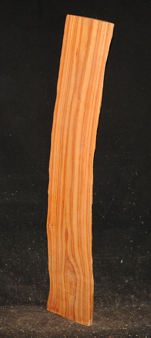 E14004c57d477746bb39d01d44e94b84df52c27a0802d516c8f88a44f524