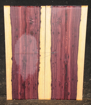 E156bcc39608787621b70a892381f327171de337641c647cc6f042a0392e