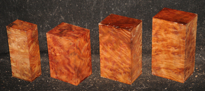 E462f624f2370e695b585973daff15a0382ba392061d62405d341bb64e51