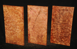 E6ab2f9c32348bdee50629a155df5605148a13a1f39c1a21393e4528fc66