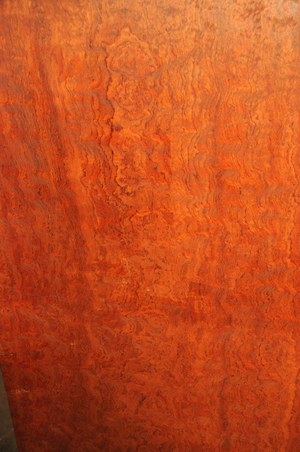 E7a501ddd70e54c2c002842007a2eaaa033328afcfe84a5e3b765dfbd18a