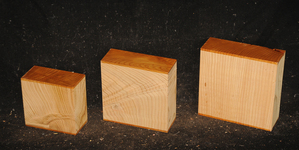 E8879d1f5768512fc1d085faa3754770a422160c53c29af26e3f624cb7de