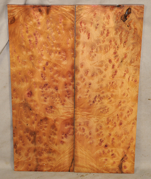 Fb4fc5adee5f09fe2918ca3567d1853e9d21f21b313cc6dcac0dc8d760ba