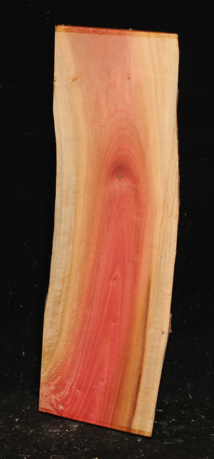 Fcbda8820e153295af507a1caaace04a25efe7532c2a0e291e7c99d9876d